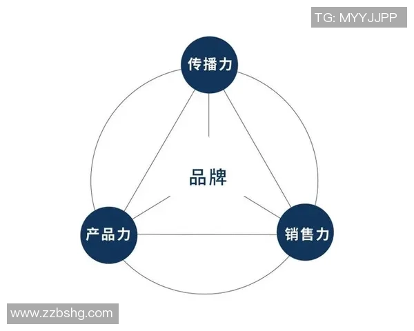 巅峰国际品牌价值提升路径探索与实践的全面解析与策略建议