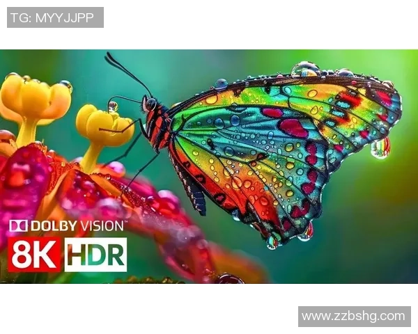 超高清HDR宽色域标配引领视听新体验尽享极致画质与色彩魅力